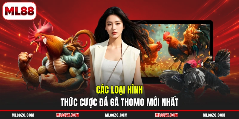 Các loại hình thức cược đá gà Thomo mới nhất