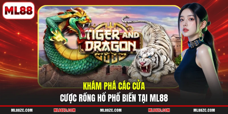 Khám phá các cửa cược Rồng Hổ phổ biến tại ML88