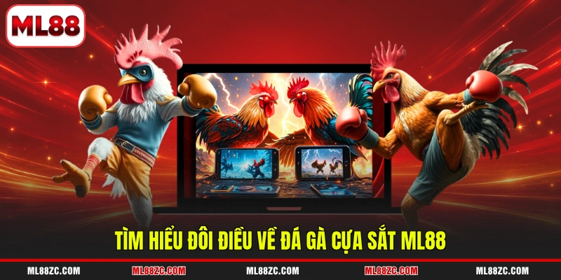Tìm hiểu đôi điều về đá gà cựa sắt ML88